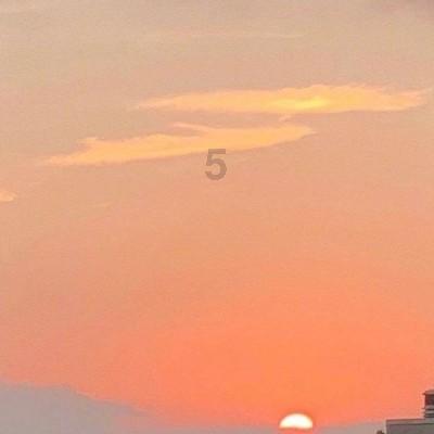 税惠浇灌 “长安花”越开越旺