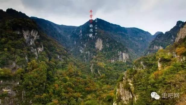 中国旅游研究院院长戴斌带队调研石景山区文化和旅游产业发展情况